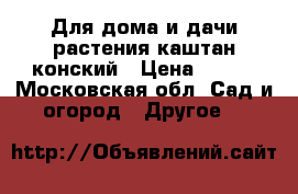 Для дома и дачи-растения каштан конский › Цена ­ 750 - Московская обл. Сад и огород » Другое   